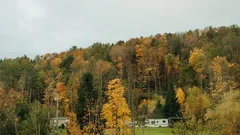 Talo metsässä, puita ympärillä, rauhallinen maisema