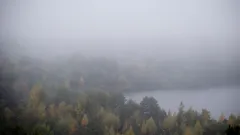 Sumuinen järvi puiden ympäröimänä Suomessa