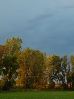 Mies lennättää leijaa pellolla aurinkoisena päivänä