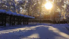 Lumen peittämä pelto ja puut talviaamuna auringonpaisteessa 2021